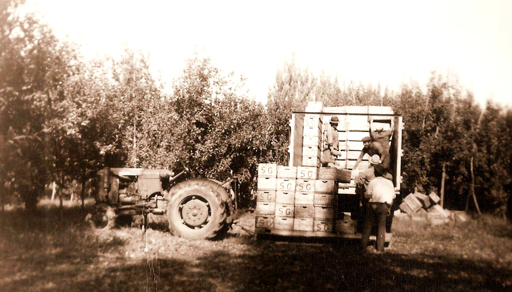 Franc Fabčič, Argentina1688