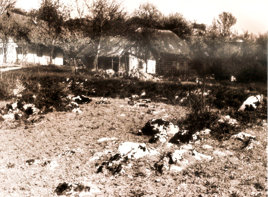 Suha Krajina F. Janez Zrnec2015