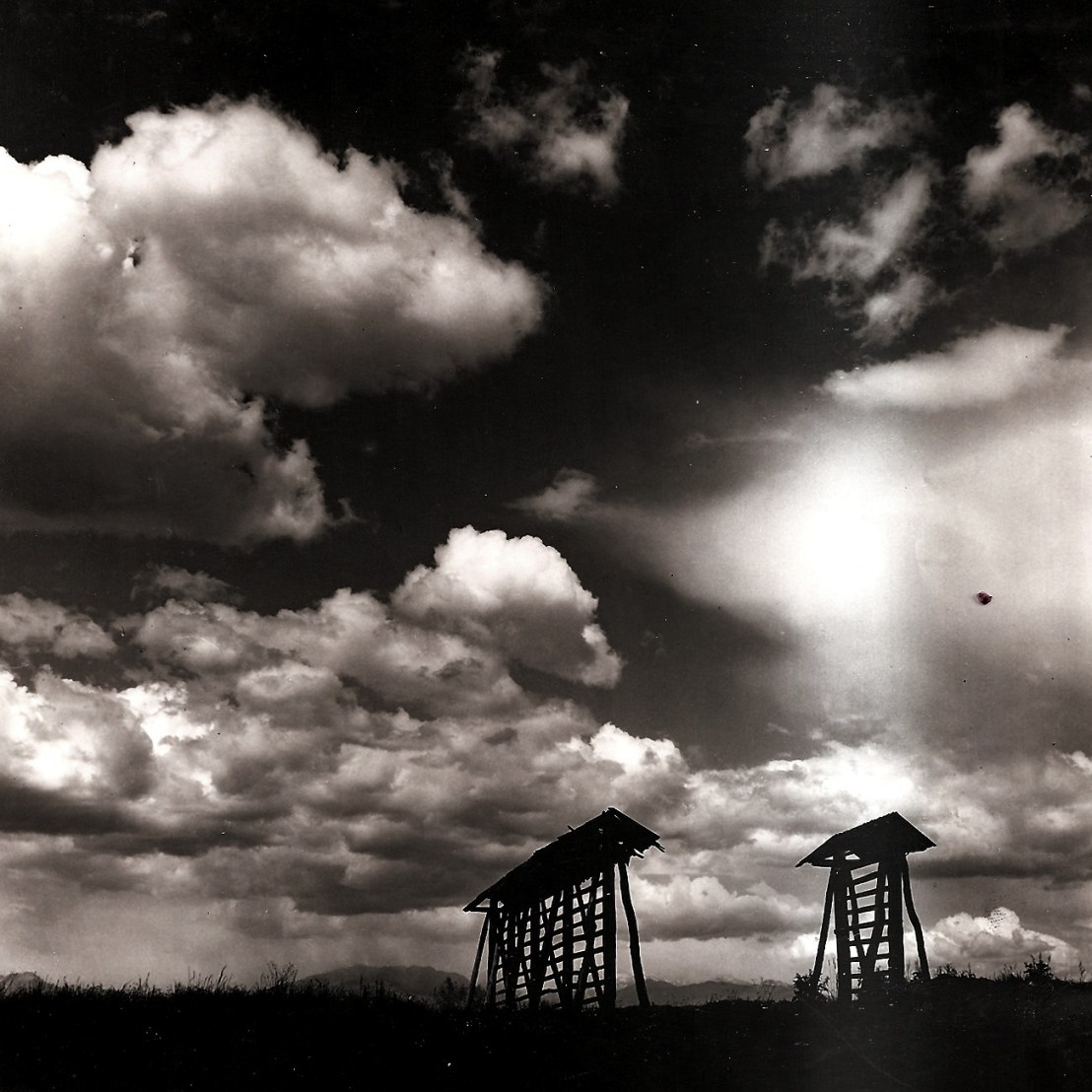 Kozolci F. Milan Kumar2696